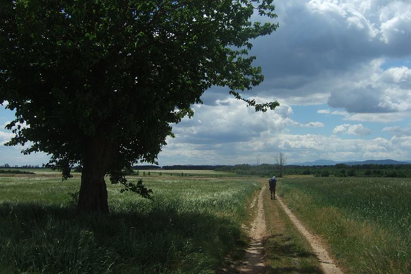 2011-05- (593).JPG - Weiter geht's durch einsame Fluren